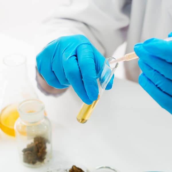 cannabis testing lab