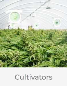 marijuana cultivator loans