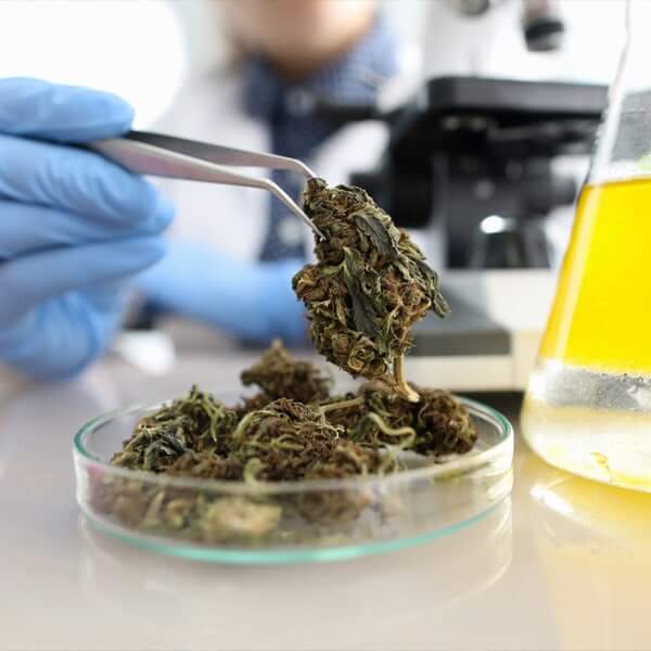 marijuana testing lab financing options