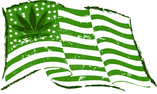cannabis reforms