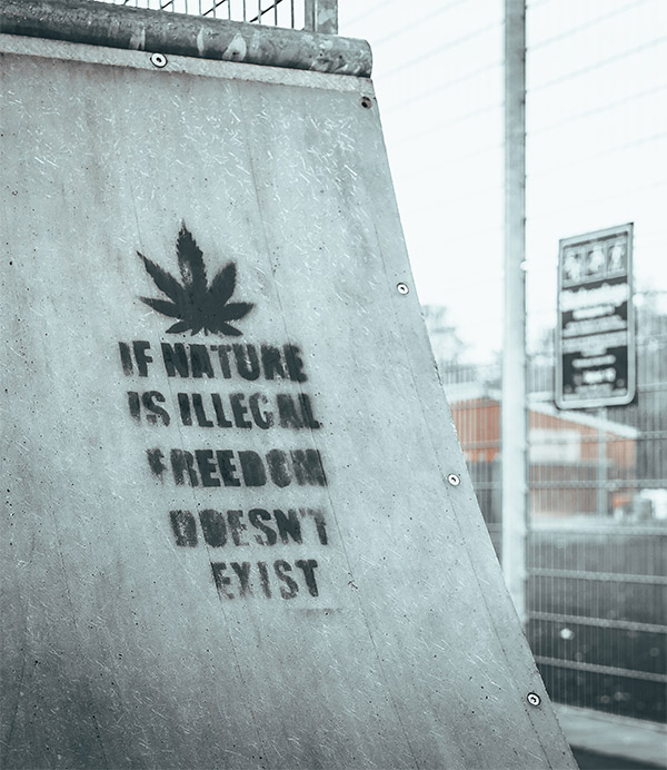 legalize cannabis federally