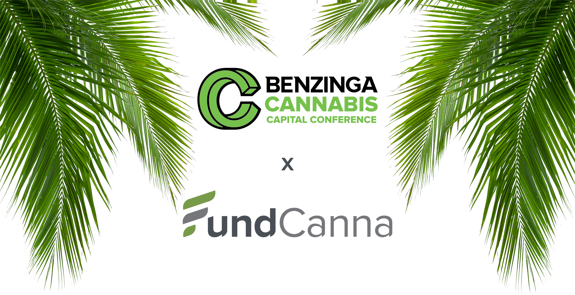 2023 benzinga cannabis capital conference