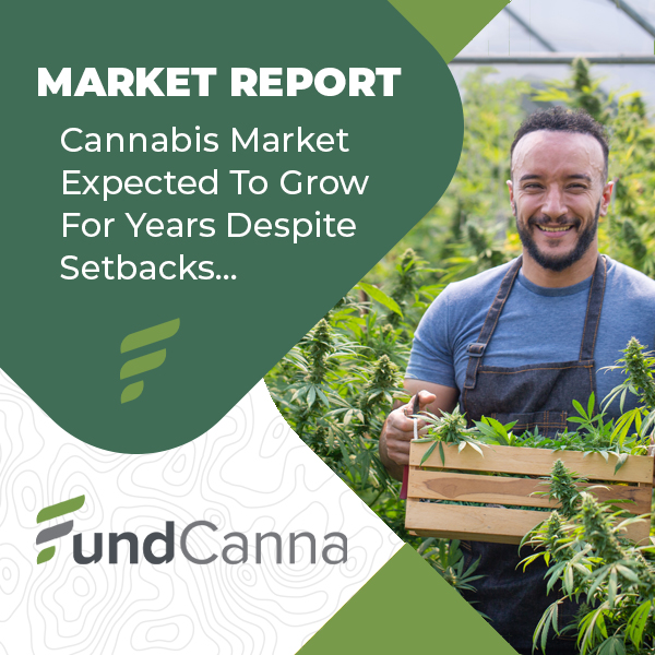 market report cannabis industry