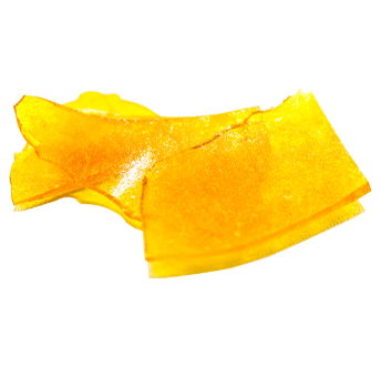 cannabis shatter