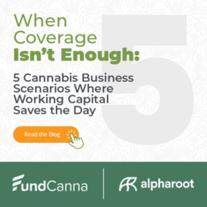 5 cannabis business scenarios