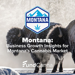 montana cannabis industry news 300