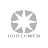 driflower driflower