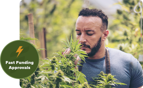 cannabis loans for cannabis businesses hp