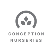 conception nurseries