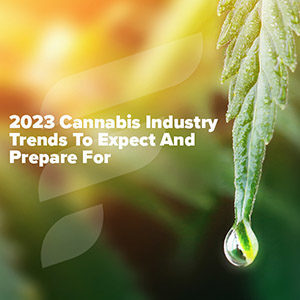 2023 cannabis reform update