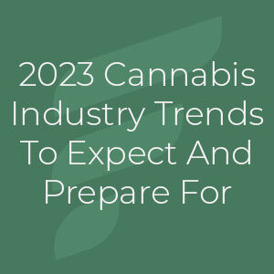 2023 trends in cannabis