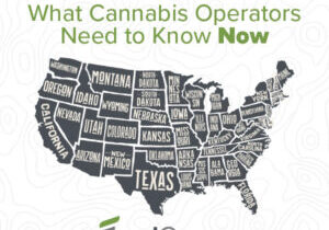 State of Play What Cannabis Operators Need to Know Now