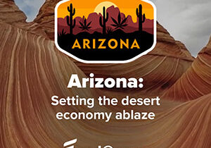 arizona cannabis industry news 300