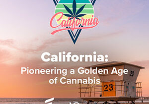california cannabis industry news 300