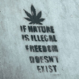 cannabis should be legal federally