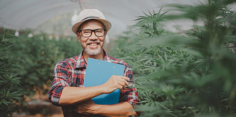 cannabis working capital loans