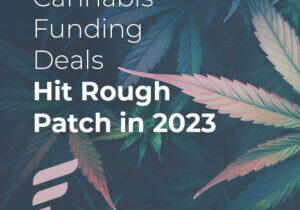 cannabis capital raises