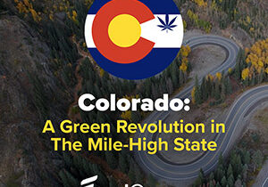 colorado cannabis industry news 300