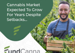 market report cannabis industry