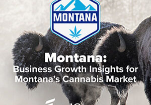 montana cannabis industry news 300