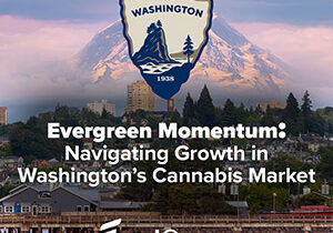 washington cannabis industry news 300